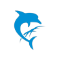 AquaSoft Video Vision logo