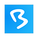 BigMarker logo