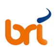 Brownrice PCI-Compliant VPS Hosting logo
