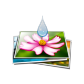 bulkWaterMark logo