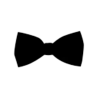 Chrometa logo