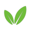 Codetree logo
