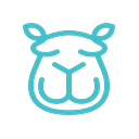 Content Camel logo