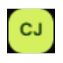 CopyJet logo
