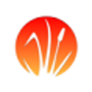 cwRsync logo
