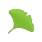 Gingko Writer logo