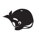 HeyOrca logo