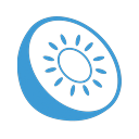 Kiwi LMS logo
