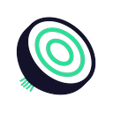 Lead Onion logo