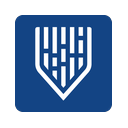 Mindgard logo