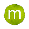 Minted Wedding Websites logo