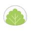 Mochi logo
