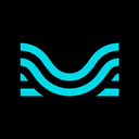 Moises logo