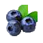 Myrtille logo