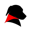 NameChanger logo