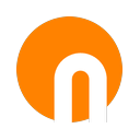 NetraScan logo