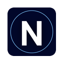 Netscope logo