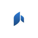 Neural Inverse Cloud logo