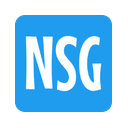 NS-Global logo