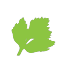 Parsley logo