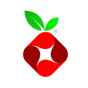 Pi-hole logo