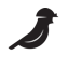 PIT logo