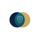 Placino logo