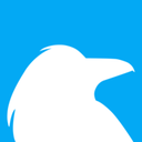 Raven Tools logo
