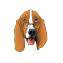 RealHound 365 logo