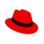 Red Hat Advanced Cluster Security for Kubernetes logo