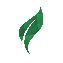 Review Sprout logo