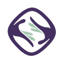 Sertifi by Flywire logo