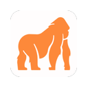 STEL Order logo