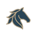 StudPulse logo