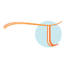 VEDA logo