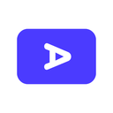 Video Audit logo