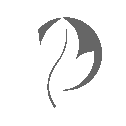 Viviotech VPS logo