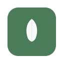 Willow Practice logo