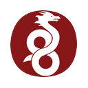 WireGuard logo