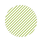 Zest Metrics logo