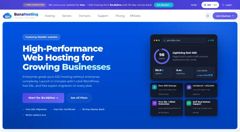 BanaHosting screenshot