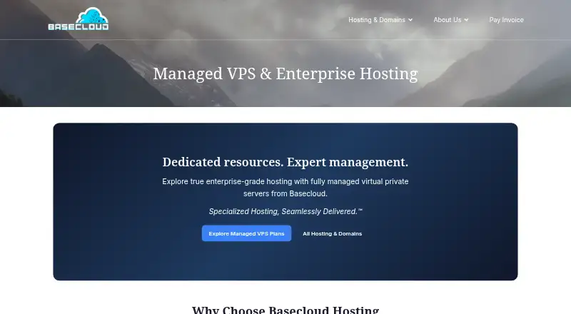 Basecloud Managed VPS screenshot