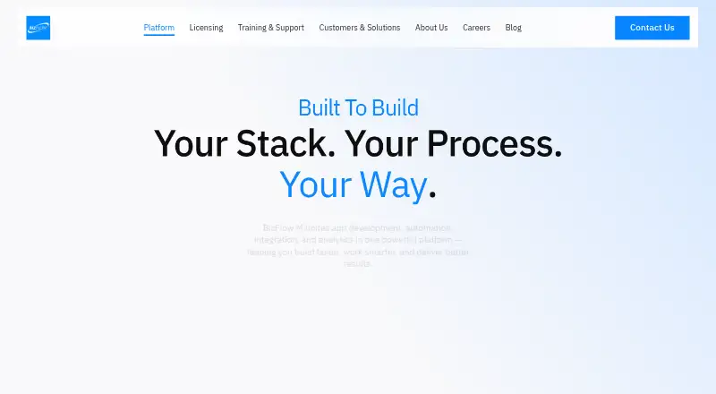 BizFlow M screenshot