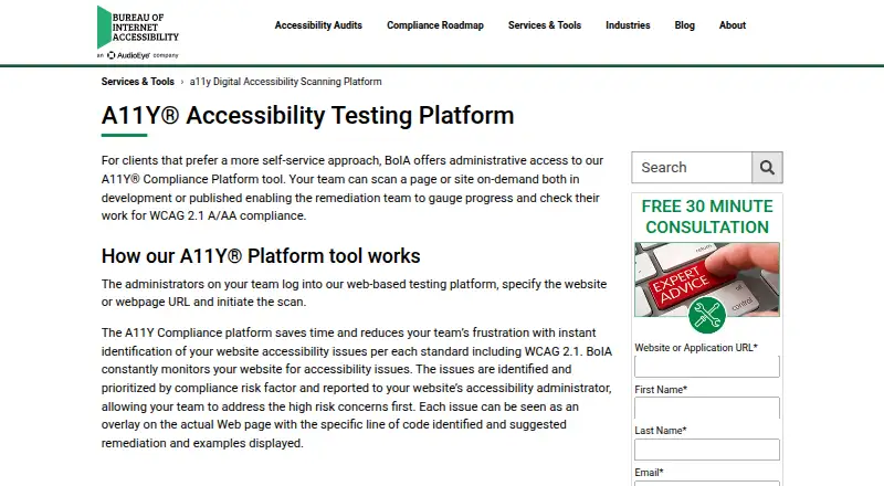 A11Y Accessibility Testing Platform screenshot