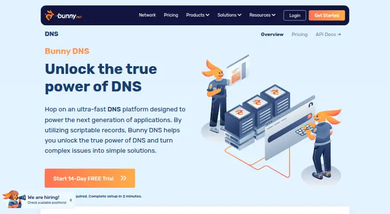 Bunny DNS screenshot