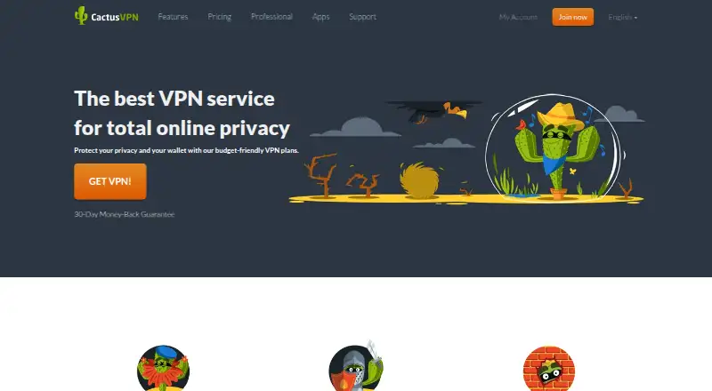 CactusVPN screenshot