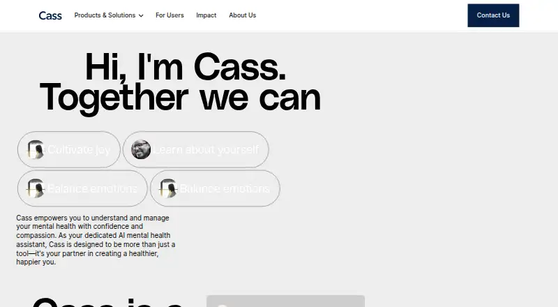 Cass screenshot