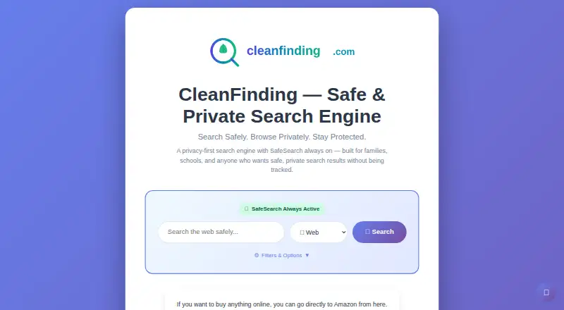 CleanFinding Browser screenshot