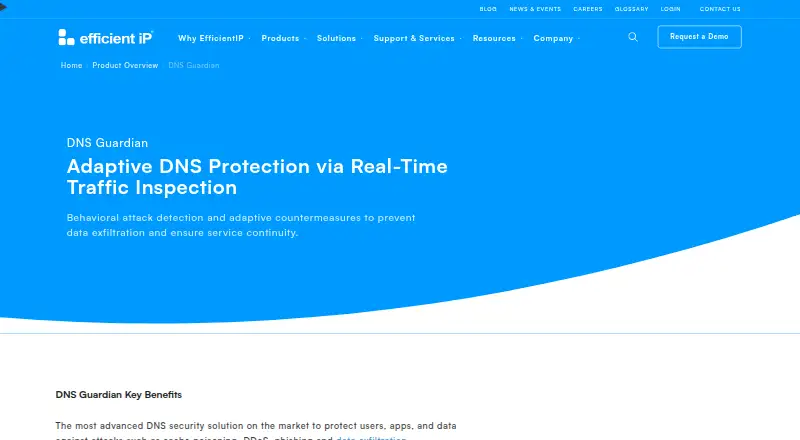EfficientIP DNS Guardian screenshot