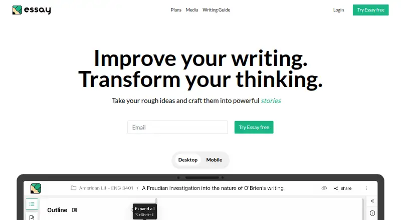 Essay screenshot